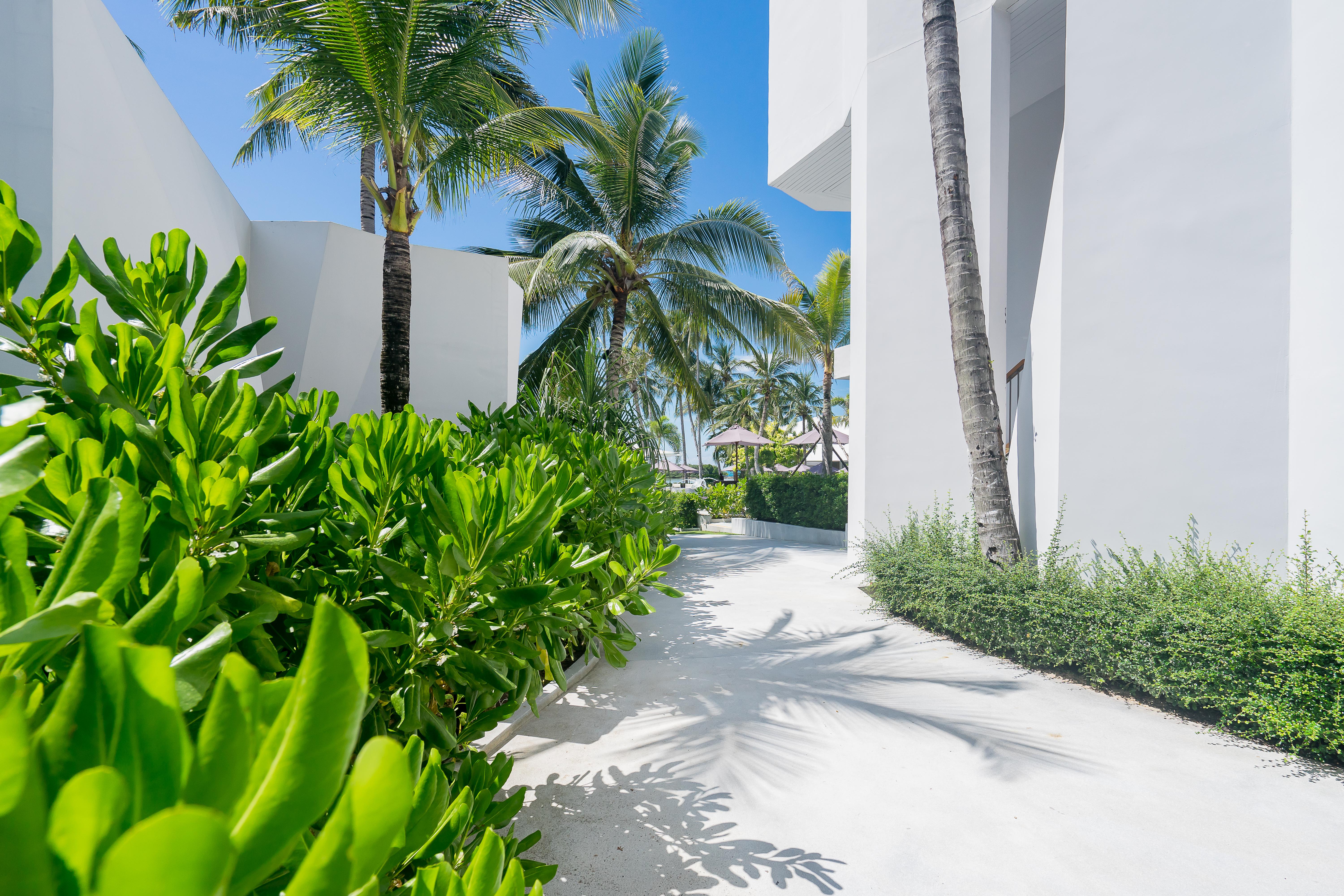 La Vida Samui Hotel Chaweng  Bagian luar foto